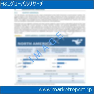 市場と産業調査レポートのイメージ